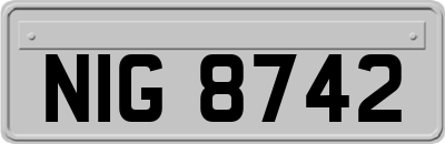 NIG8742