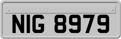NIG8979