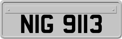 NIG9113