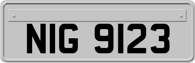 NIG9123