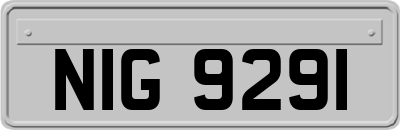 NIG9291