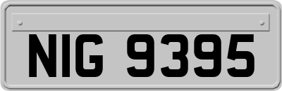 NIG9395