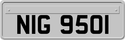 NIG9501