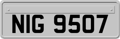 NIG9507