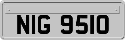 NIG9510