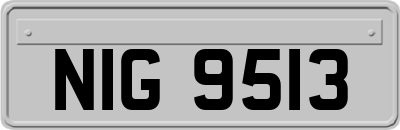 NIG9513