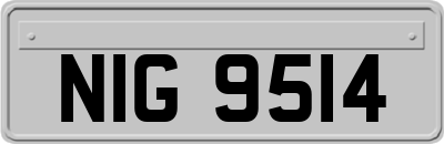 NIG9514