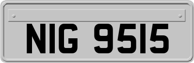 NIG9515
