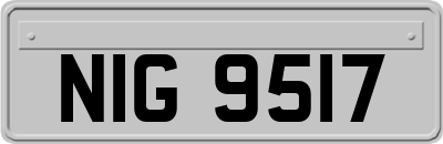 NIG9517