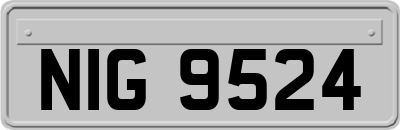 NIG9524