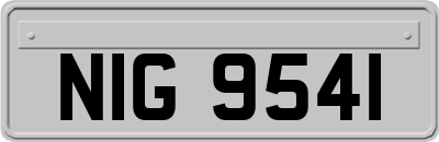 NIG9541