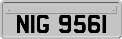 NIG9561