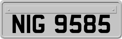NIG9585