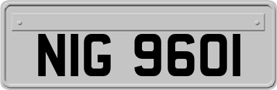 NIG9601