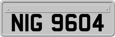 NIG9604