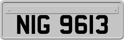 NIG9613