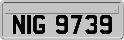 NIG9739
