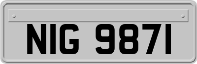 NIG9871