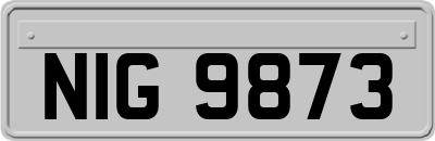 NIG9873