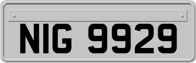 NIG9929