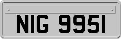 NIG9951