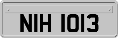NIH1013