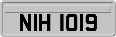 NIH1019