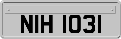 NIH1031