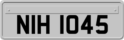 NIH1045