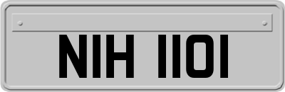 NIH1101