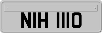 NIH1110