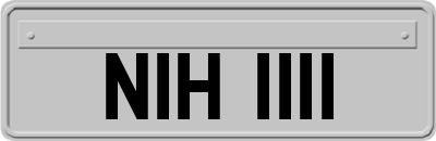 NIH1111