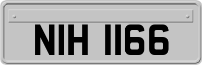 NIH1166