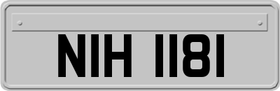 NIH1181