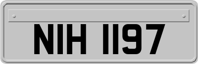 NIH1197