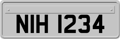 NIH1234