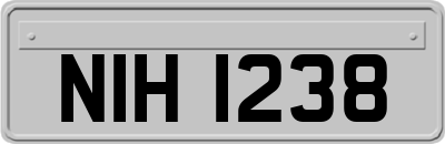 NIH1238