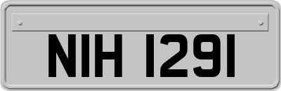 NIH1291