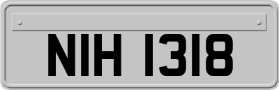 NIH1318
