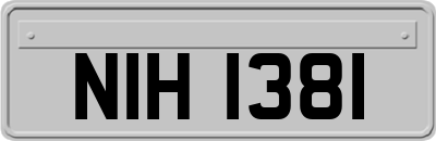 NIH1381