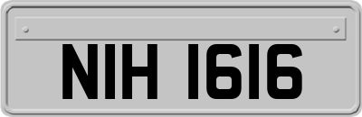 NIH1616