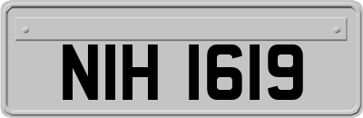 NIH1619