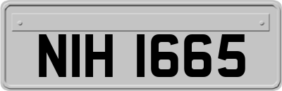 NIH1665