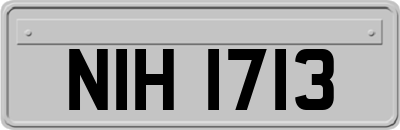 NIH1713