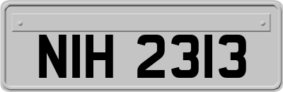 NIH2313