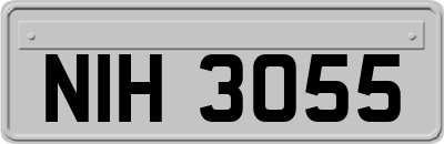 NIH3055
