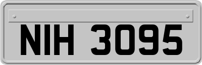 NIH3095