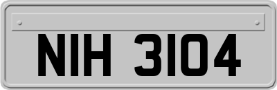 NIH3104