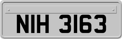 NIH3163