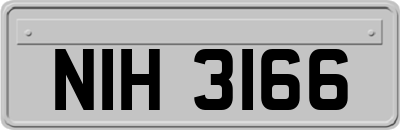 NIH3166